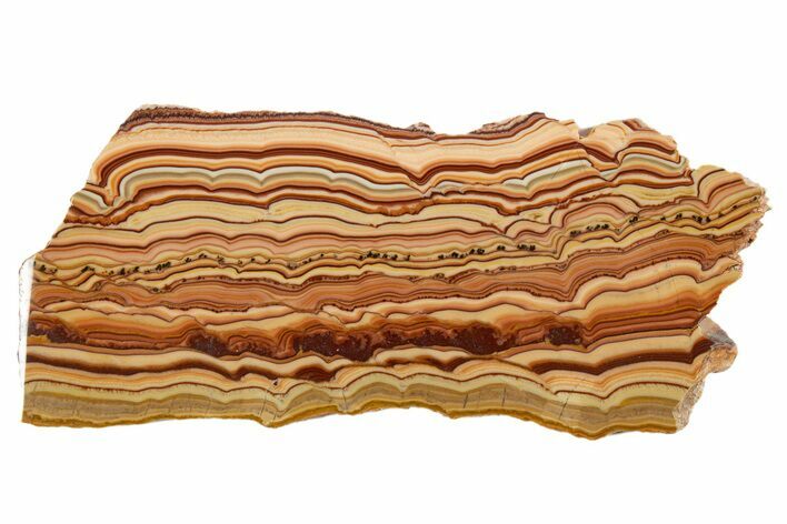 Polished Slab Of Rolling Hills Dolomite - Mexico #324337